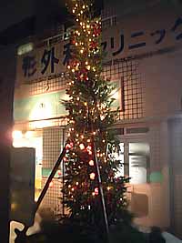 tree2-1.jpg