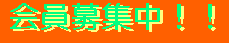 bobanner.gif